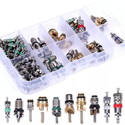 Aire Acondicionado 100pcs De Válvula Surtidas A/c Automotriz